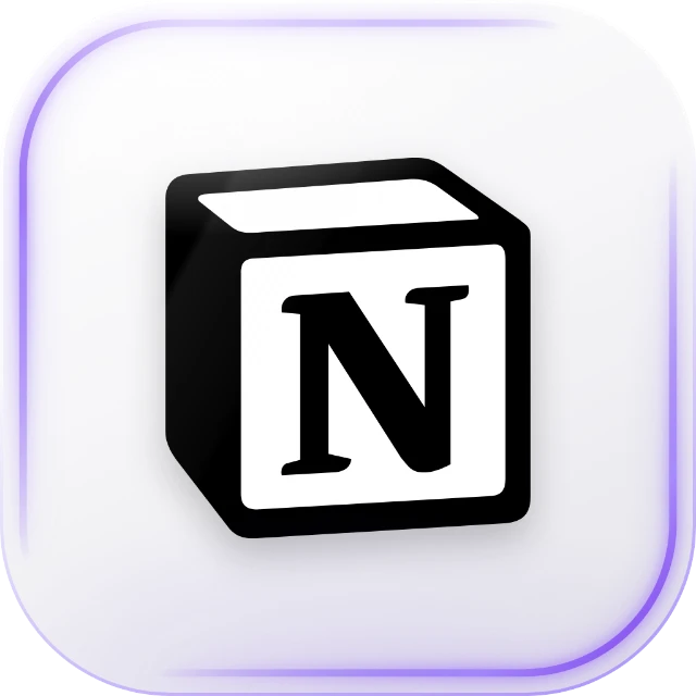 Notion Plus 12M